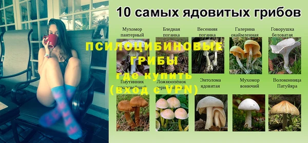 кокаин Белокуриха