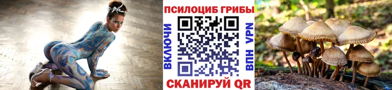 Галлюциногенные грибы прущие грибы  Городовиковск 