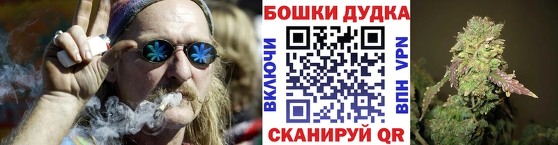 Бошки марихуана сатива  kraken маркетплейс  Городовиковск 